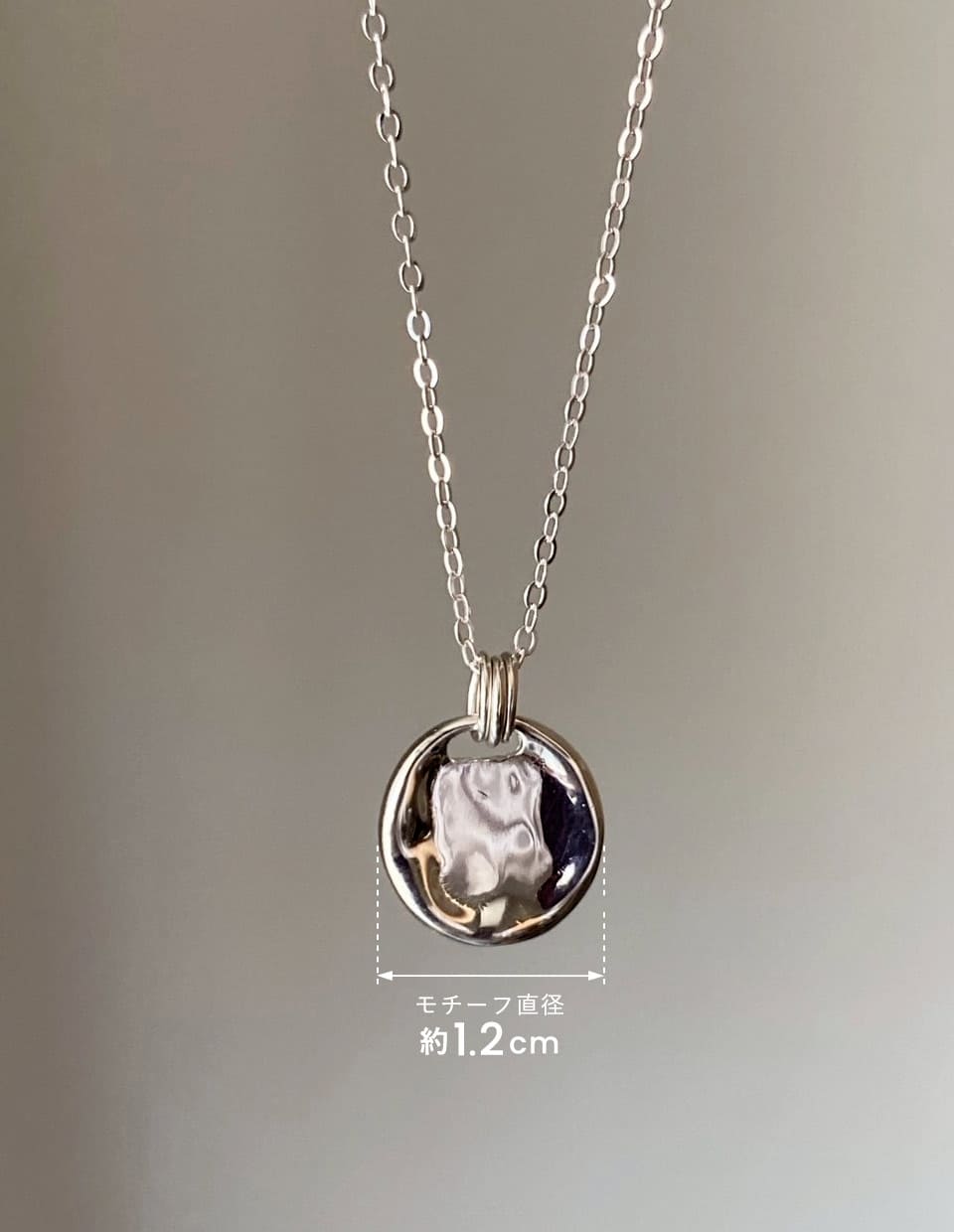 ニュアンスコインネックレス SV925